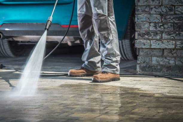 Boat and Dock Cleaning in Mogul, NV